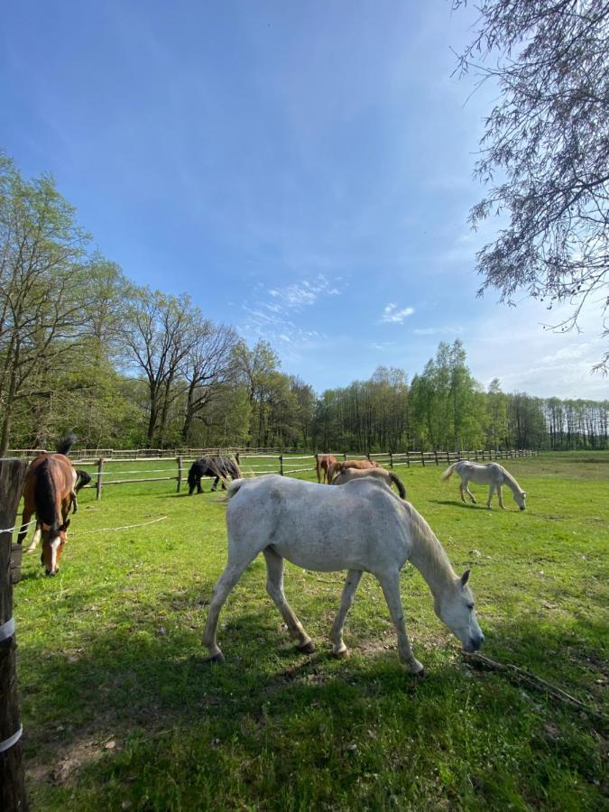 Гостьовий будинок Inglotowka Wolow  Екстер'єр фото